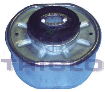 Mounting, engine (363866)