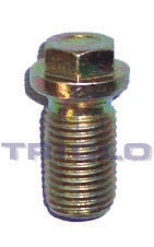 Screw Plug, oil sump (323099)