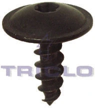 Screw (161764)