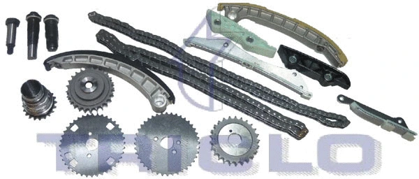 Timing Chain Kit (421258)
