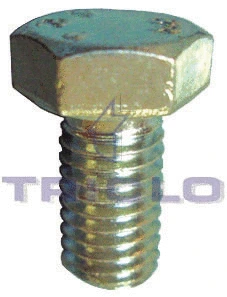 Screw (162363)