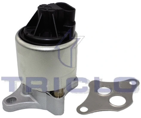 EGR Valve (347000)