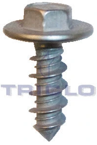 Screw (161876)