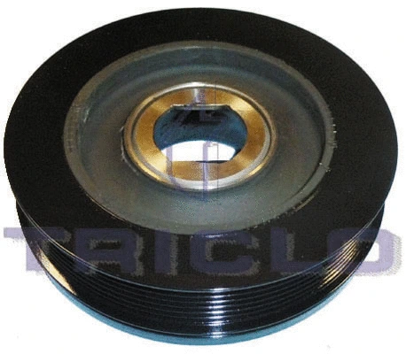 Belt Pulley, crankshaft (425805)