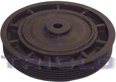 Belt Pulley, crankshaft (425146)