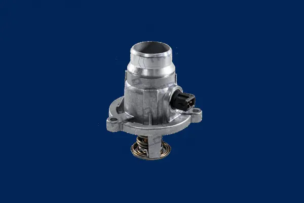 Thermostat, coolant (463300)