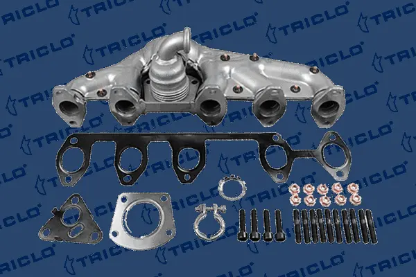Manifold, exhaust system (350158)
