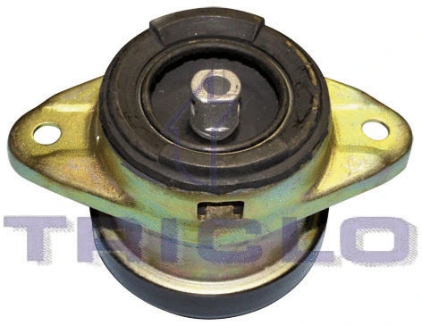 Mounting, engine (361653)