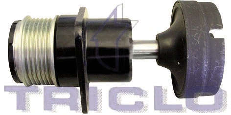 Belt Pulley, alternator (428685)