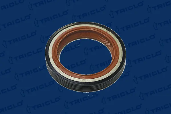Shaft Seal, camshaft (675226)