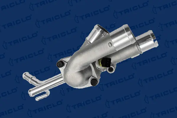 Thermostat, coolant (466171)