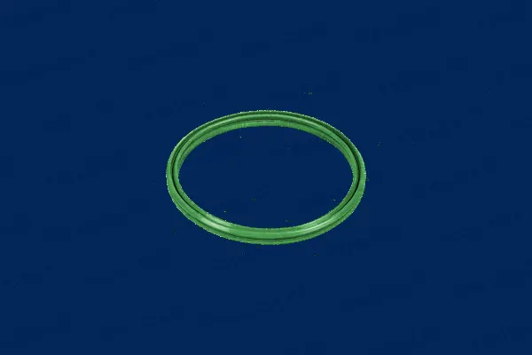 Seal Ring, charger (442252)