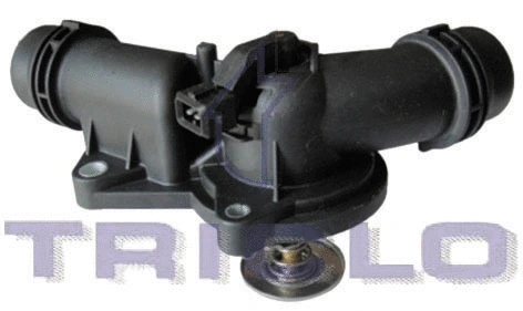 Thermostat, coolant (463251)