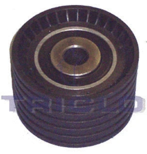 Deflection/Guide Pulley, timing belt (425176)