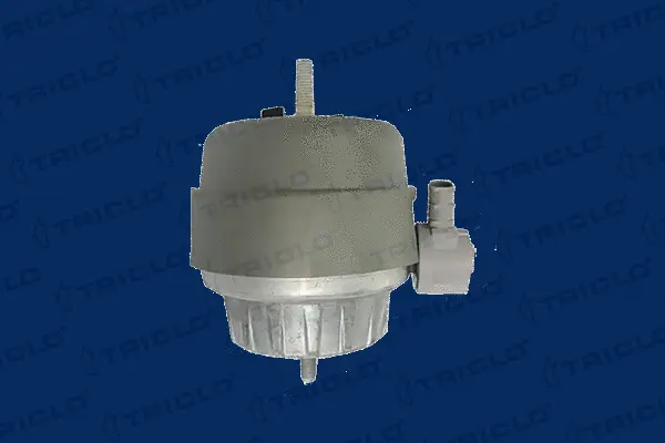 Mounting, engine (362478)