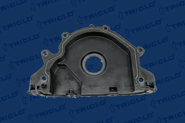 Shaft Seal, crankshaft (422023)