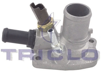 Thermostat, coolant (464505)