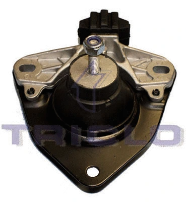 Mounting, engine (365412)
