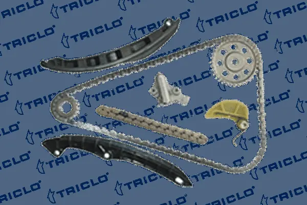 Timing Chain Kit (422179)