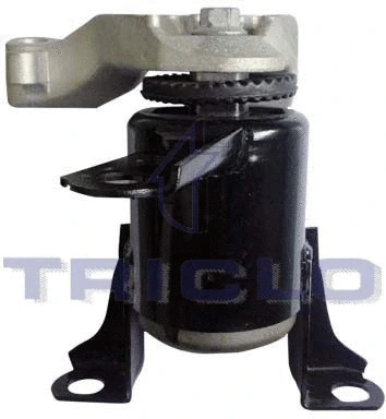 Mounting, engine (368808)