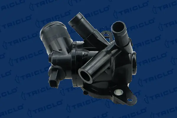 Thermostat, coolant (465995)