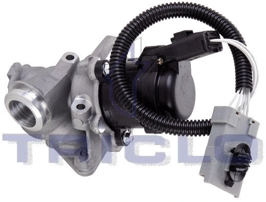 EGR Valve (348406)