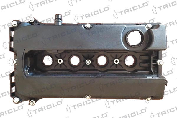 Cylinder Head Cover (397122)