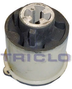 Bushing, axle beam (788869)