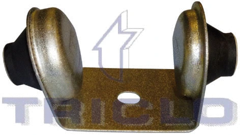 Mounting, engine (361519)