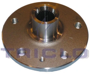 Wheel Hub (905376)
