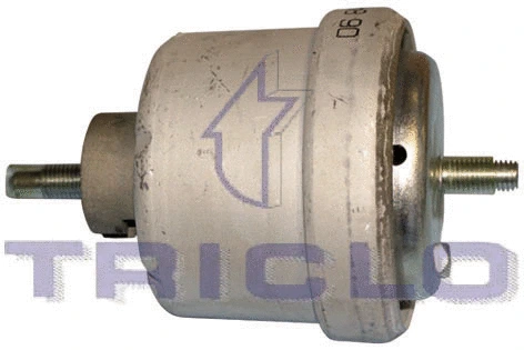 Mounting, engine (368662)