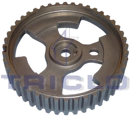 Gear/Sprocket, camshaft (420173)
