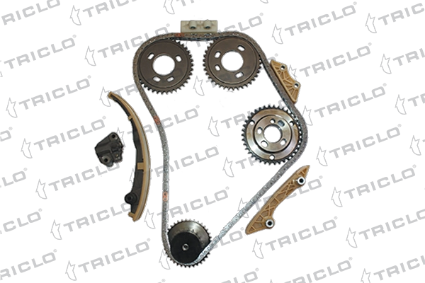 Timing Chain Kit (428962)