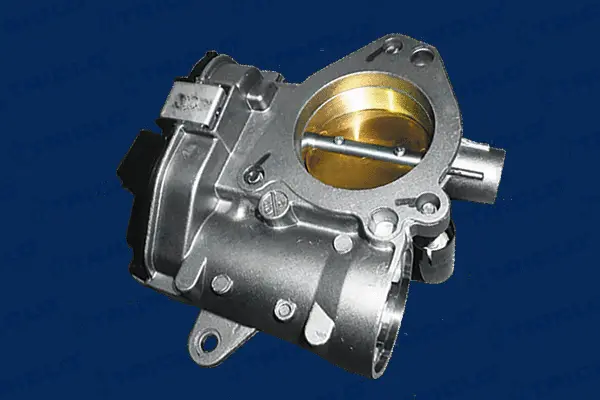 Throttle Body (380463)