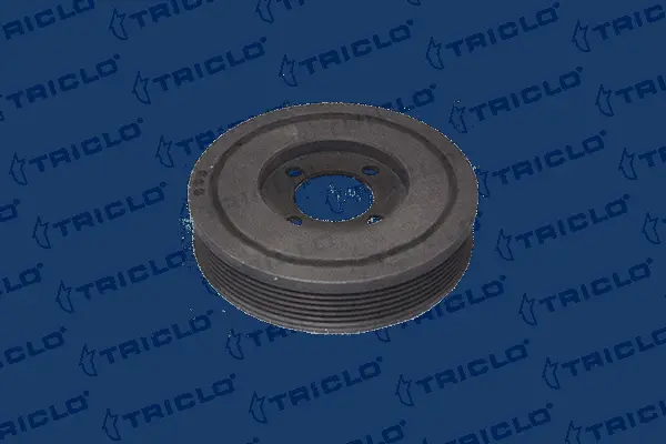 Belt Pulley, crankshaft (421217)