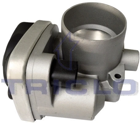 Throttle Body (382688)