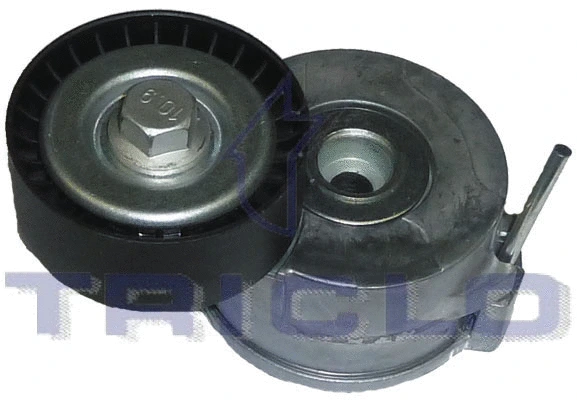 Tensioner Lever, V-ribbed belt (420028)