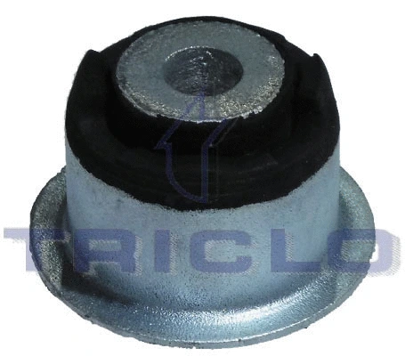 Bushing, axle beam (780259)