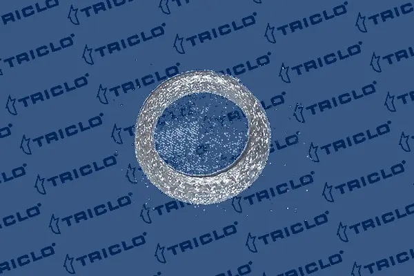 Seal Ring, exhaust pipe (352862)