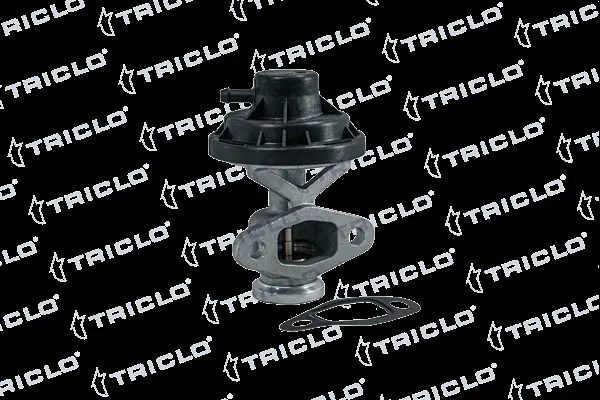 EGR Valve (343303)