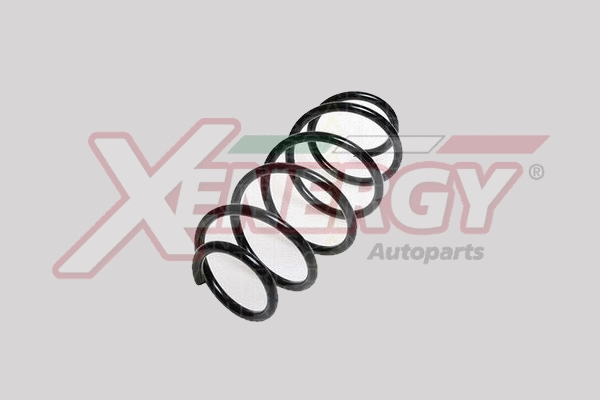 Suspension Spring (XSH8432)