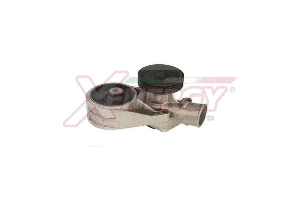 Water Pump, engine cooling (X202202)