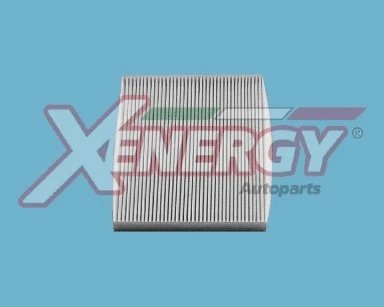 Filter, cabin air (X10655)