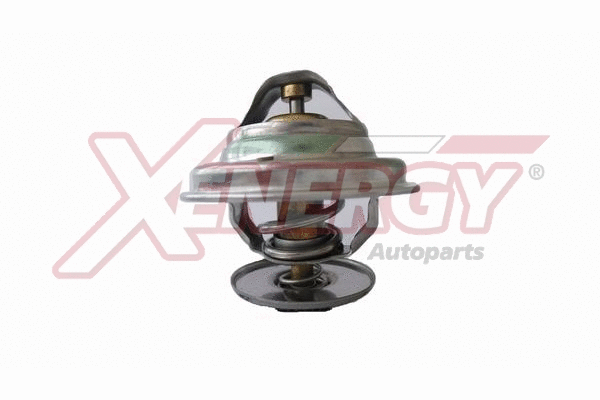 Thermostat, coolant (XT1476)