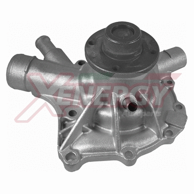 Water Pump, engine cooling (X204252)