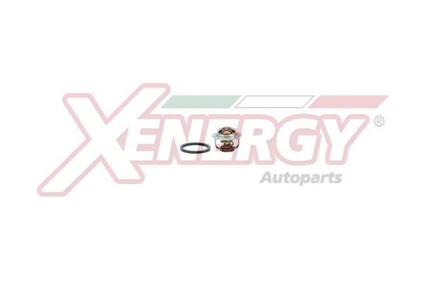 Thermostat, coolant (XT6883)