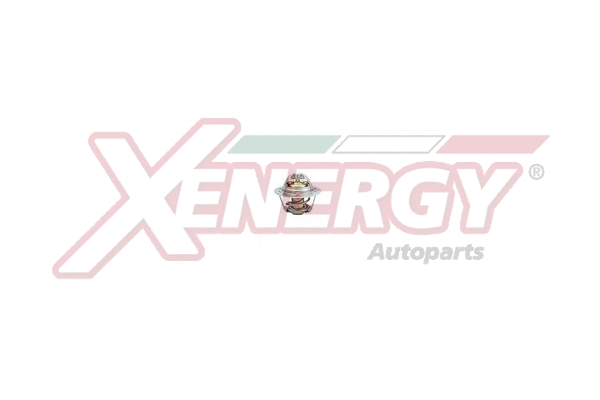 Thermostat, coolant (XT6843)