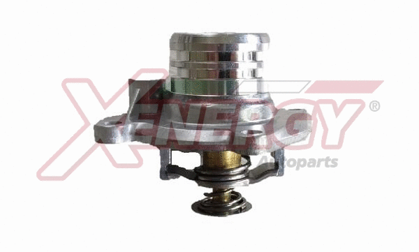 Thermostat, coolant (XT6951)