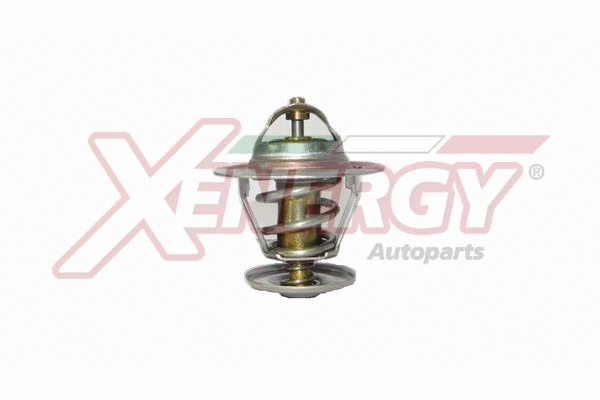 Thermostat, coolant (XT1439.87)