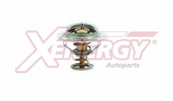 Thermostat, coolant (XT6297)